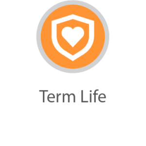 MB-IVT_TermLife 2022